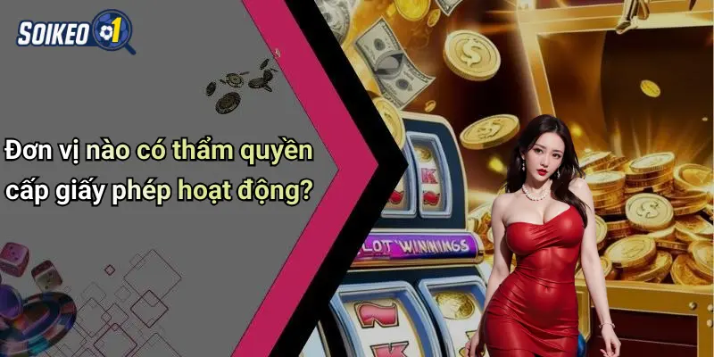 Đơn vị nào có thẩm quyền cấp giấy phép hoạt động?