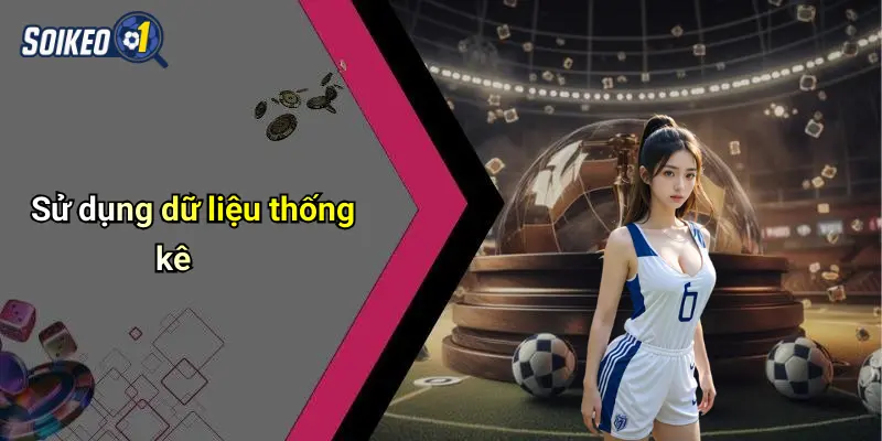 Sử dụng dữ liệu thống kê